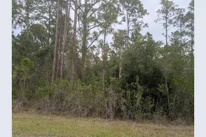 320 Alba Drive, Indian Lake Estates, FL 33855 - Photo 3