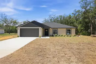 2031 W Myakka Rd, Avon Park, FL 33825 - Photo 1