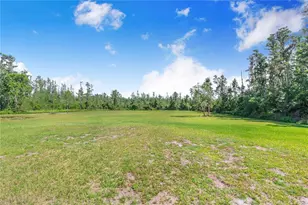 7152 Fussell Rd, Polk City, FL 33868 - Photo 47