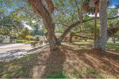 33 Pinewood Drive, Haines City, FL 33844 - Photo 29