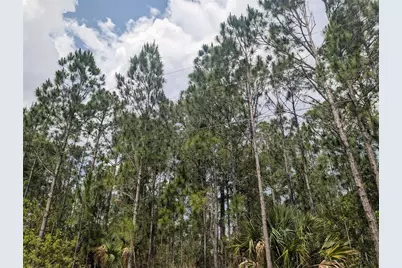 25 Amaryllis Drive, Indian Lake Estates, FL 33855 - Photo 9