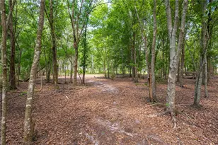 15079 Brahma Rd, Polk City, FL 33868 - Photo 37