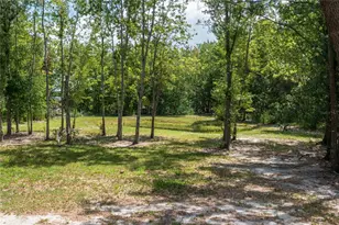 15079 Brahma Rd, Polk City, FL 33868 - Photo 35