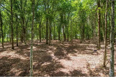 15079 Brahma Road, Polk City, FL 33868 - Photo 3