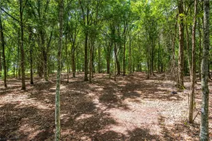 15079 Brahma Rd, Polk City, FL 33868 - Photo 3