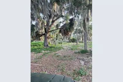 Lake Marion Road W, Haines City, FL 33844 - Photo 5