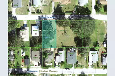 223 Palmetto Avenue NE, Winter Haven, FL 33881 - Photo 13