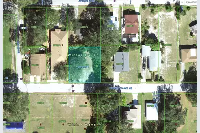 223 Palmetto Avenue NE, Winter Haven, FL 33881 - Photo 9