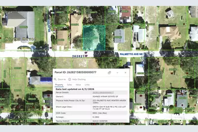 223 Palmetto Avenue NE, Winter Haven, FL 33881 - Photo 3