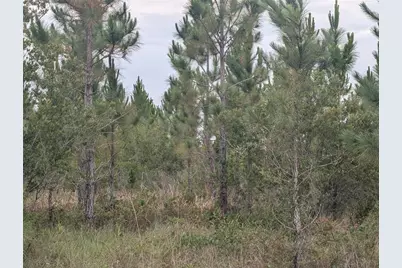 221 Tropicana Drive, Indian Lake Estates, FL 33855 - Photo 1