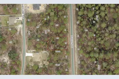 Guava Pass Lot 10, Ocklawaha, FL 32179 - Photo 1