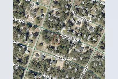 Fisher Way Dr Lot 11, Ocklawaha, FL 32179 - Photo 1