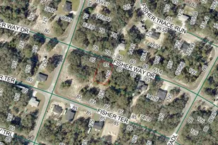 Fisher Way Dr Lot 11, Ocklawaha, FL 32179 - Photo 1