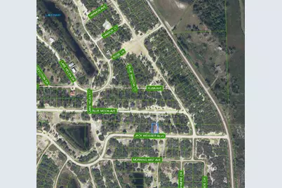 462 Jack Weisser Boulevard, Lake Placid, FL 33852 - Photo 1