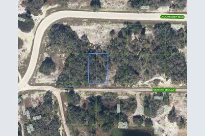 504 Morning Mist Avenue, Lake Placid, FL 33852 - Photo 1