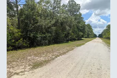 716 Orchid Drive, Indian Lake Estates, FL 33855 - Photo 3