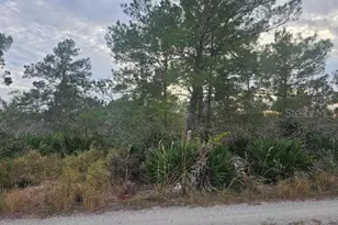 2225 Algonquin Dr, Sebring, FL 33875 - Photo 1