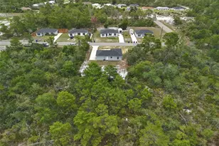 107 Elba Dr NE, Lake Placid, FL 33852 - Photo 39