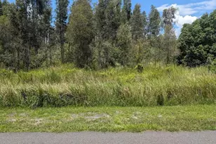 Arborea Dr N, Indian Lake Estates, FL 33855 - Photo 1