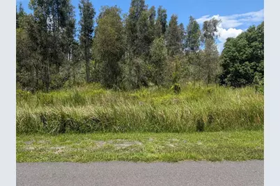 Arborea Drive N, Indian Lake Estates, FL 33855 - Photo 19