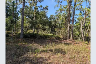 819 & 821 Allamanda Drive, Indian Lake Estates, FL 33855 - Photo 1