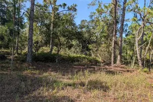 819 & 821 Allamanda Dr, Indian Lake Estates, FL 33855 - Photo 1