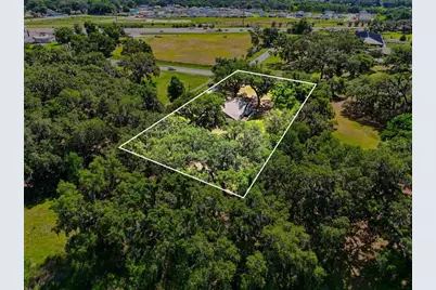 2341 Ef Griffin Road, Bartow, FL 33830 - Photo 59