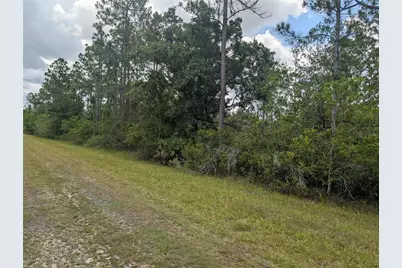519 Camellia Drive, Indian Lake Estates, FL 33855 - Photo 3