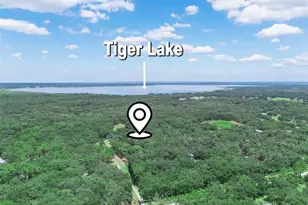 12627 Blackberry Ln, Lake Wales, FL 33898 - Photo 53