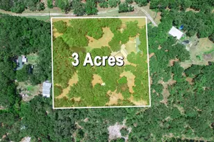 12627 Blackberry Ln, Lake Wales, FL 33898 - Photo 55