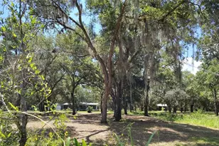 12627 Blackberry Ln, Lake Wales, FL 33898 - Photo 3