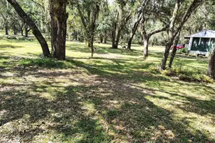 12627 Blackberry Ln, Lake Wales, FL 33898 - Photo 45