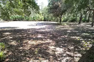 12627 Blackberry Ln, Lake Wales, FL 33898 - Photo 45