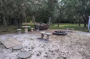 12627 Blackberry Ln, Lake Wales, FL 33898 - Photo 31