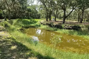 12627 Blackberry Ln, Lake Wales, FL 33898 - Photo 41