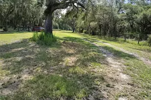 12627 Blackberry Ln, Lake Wales, FL 33898 - Photo 47