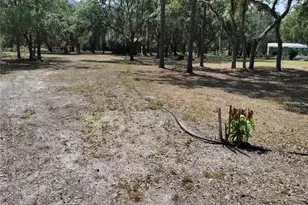 12627 Blackberry Ln, Lake Wales, FL 33898 - Photo 49