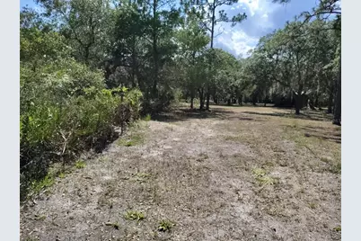 12627 Blackberry Lane, Lake Wales, FL 33898 - Photo 47