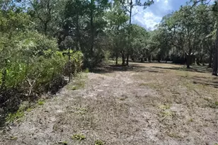 12627 Blackberry Ln, Lake Wales, FL 33898 - Photo 47