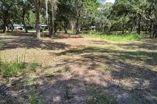 12627 Blackberry Ln, Lake Wales, FL 33898 - Photo 43