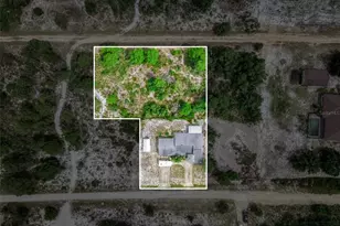 3077 W Scoralick Rd, Avon Park, FL 33825 - Photo 43