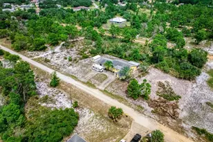 3077 W Scoralick Rd, Avon Park, FL 33825 - Photo 45