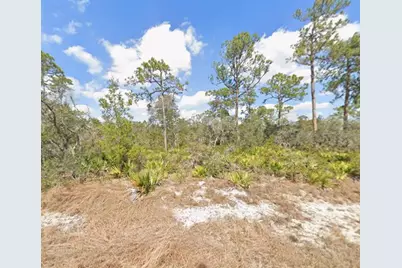 3047 Willow Avenue, Lake Placid, FL 33852 - Photo 1