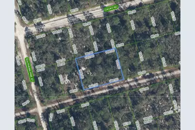 3047 Willow Avenue, Lake Placid, FL 33852 - Photo 3