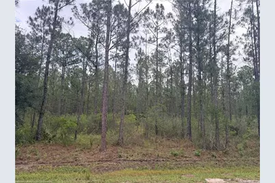 6438 Merrick Drive, Sebring, FL 33872 - Photo 1