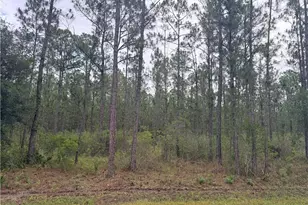 6438 Merrick Dr, Sebring, FL 33872 - Photo 1