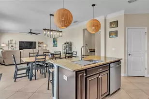 11928 Frost Aster Dr, Riverview, FL 33579 - Photo 13