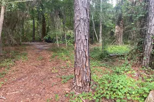 709 Georgetown Denver Rd, Crescent City, FL 32112 - Photo 1