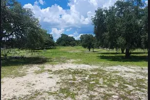 562 Libby Rd, Babson Park, FL 33827 - Photo 41