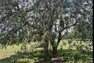 562 Libby Rd, Babson Park, FL 33827 - Photo 17